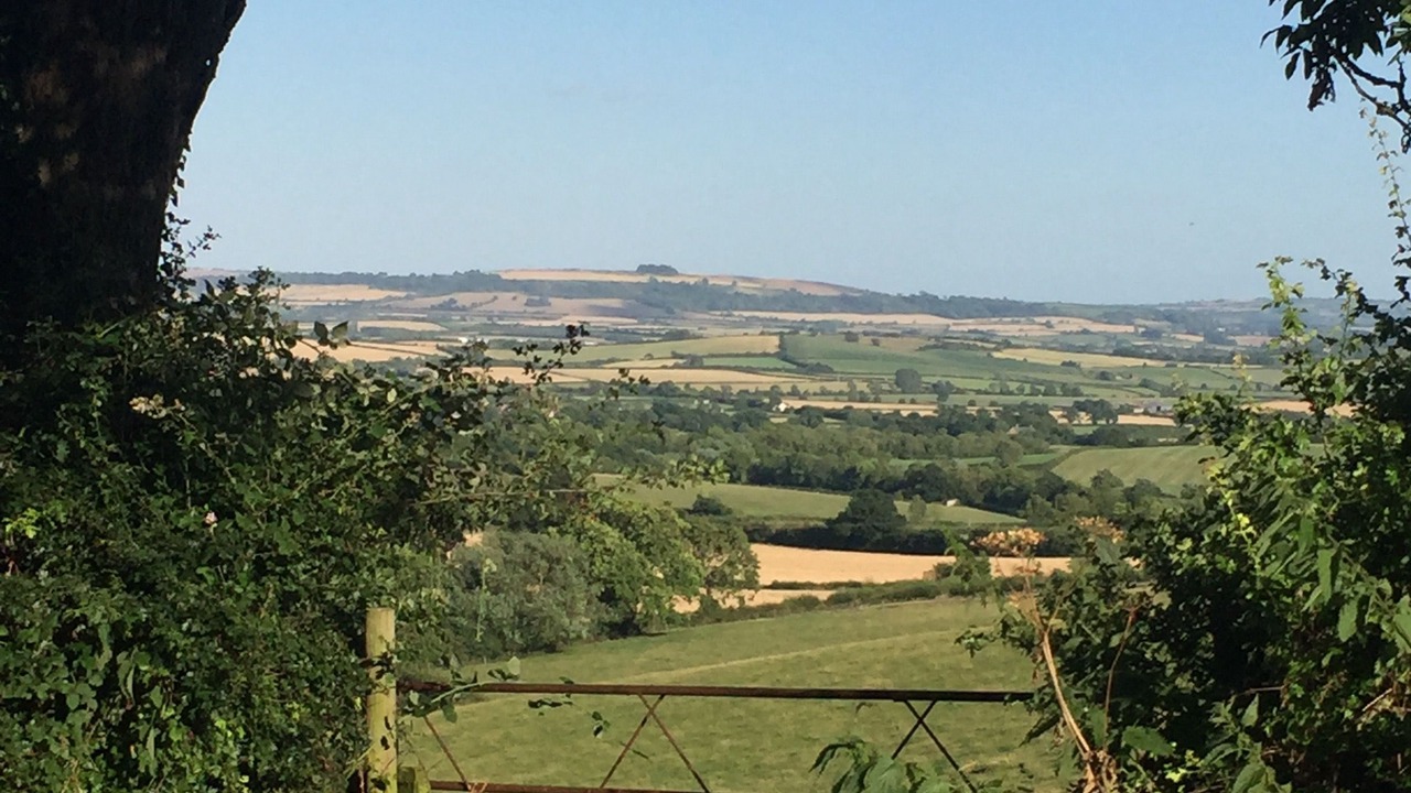 Photo of Outdoor in Ilmington