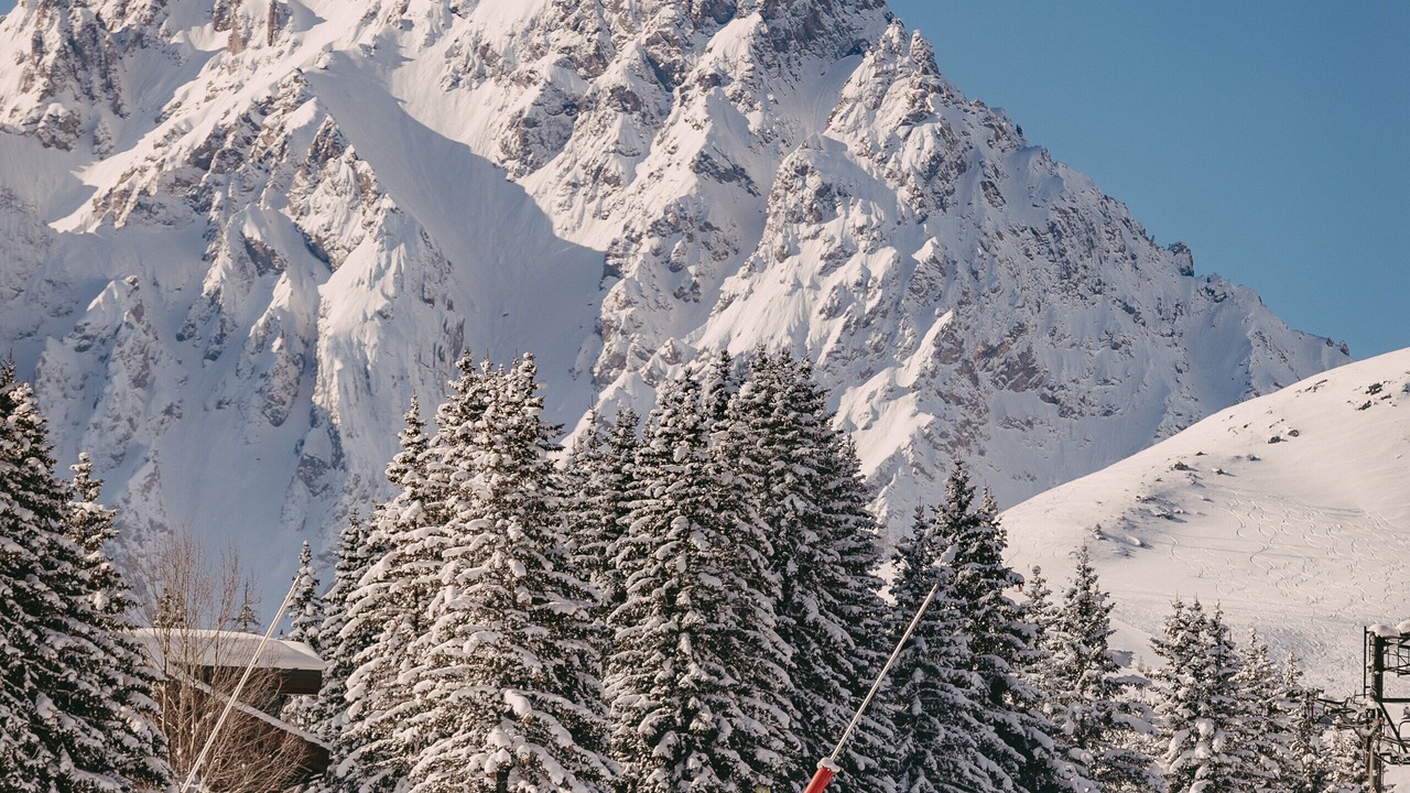 Photo of Others in Courchevel