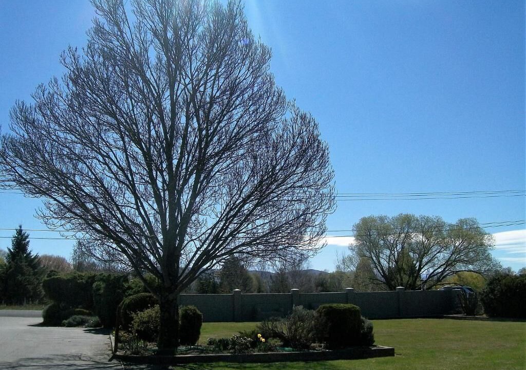 Photo of Outdoor in Omarama