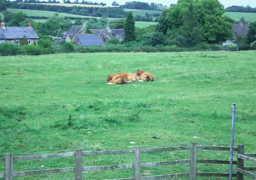 Photo of Bathroom in Sulgrave