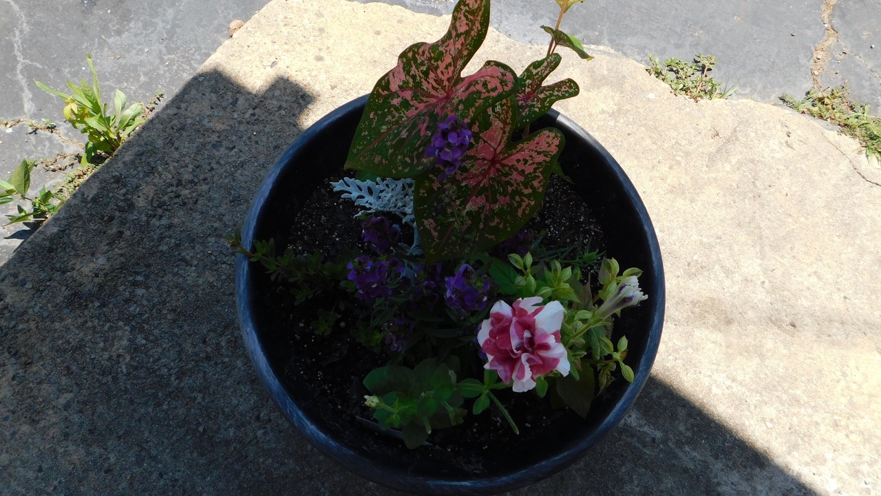 Photo of Outdoor in Murfreesboro