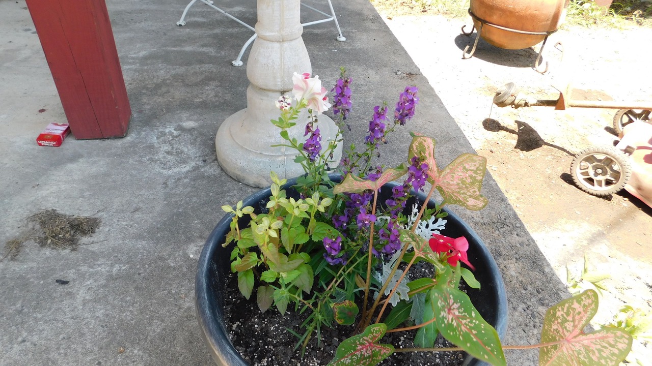 Photo of Outdoor in Murfreesboro