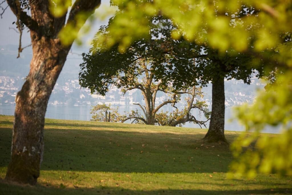 Photo of Others in Meilen District