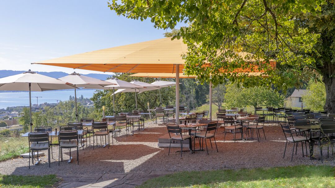 Photo of Patio Balcony in Meilen District