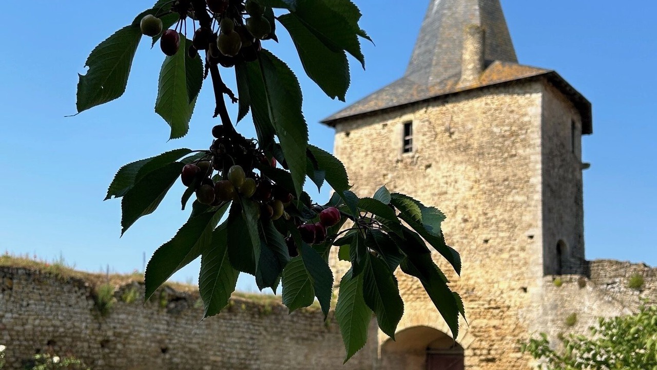 Photo of Outdoor in Airvault