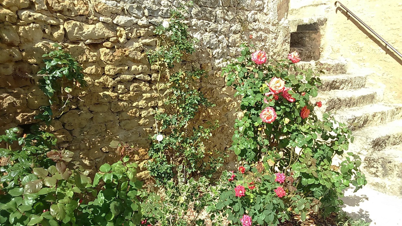 Photo of Outdoor in Airvault