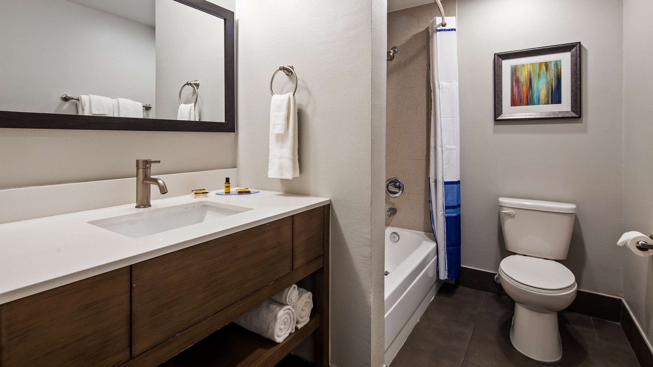 Photo of Bathroom in Government Hill