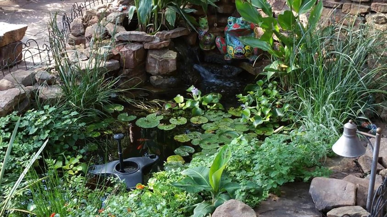 Photo of Outdoor in Zuni