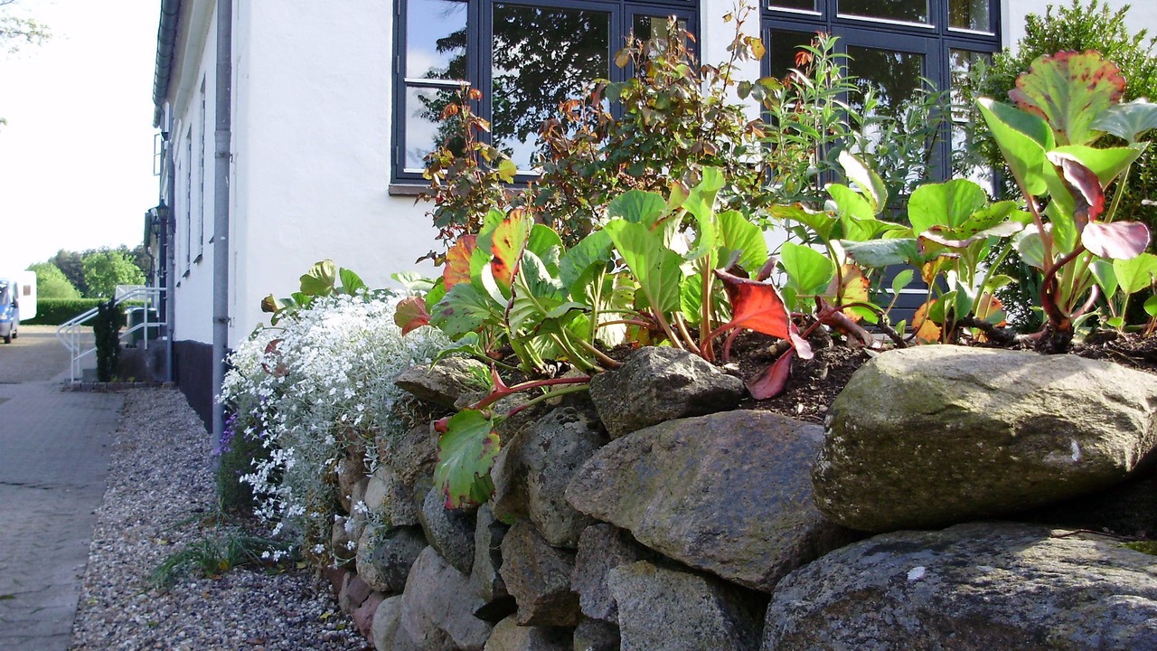 Photo of Outdoor in Hovedgard