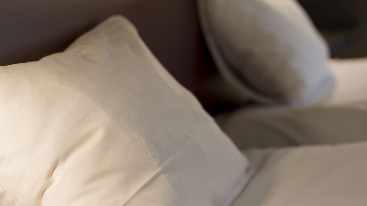 Photo of Outdoor in Dampierre-en-Burly