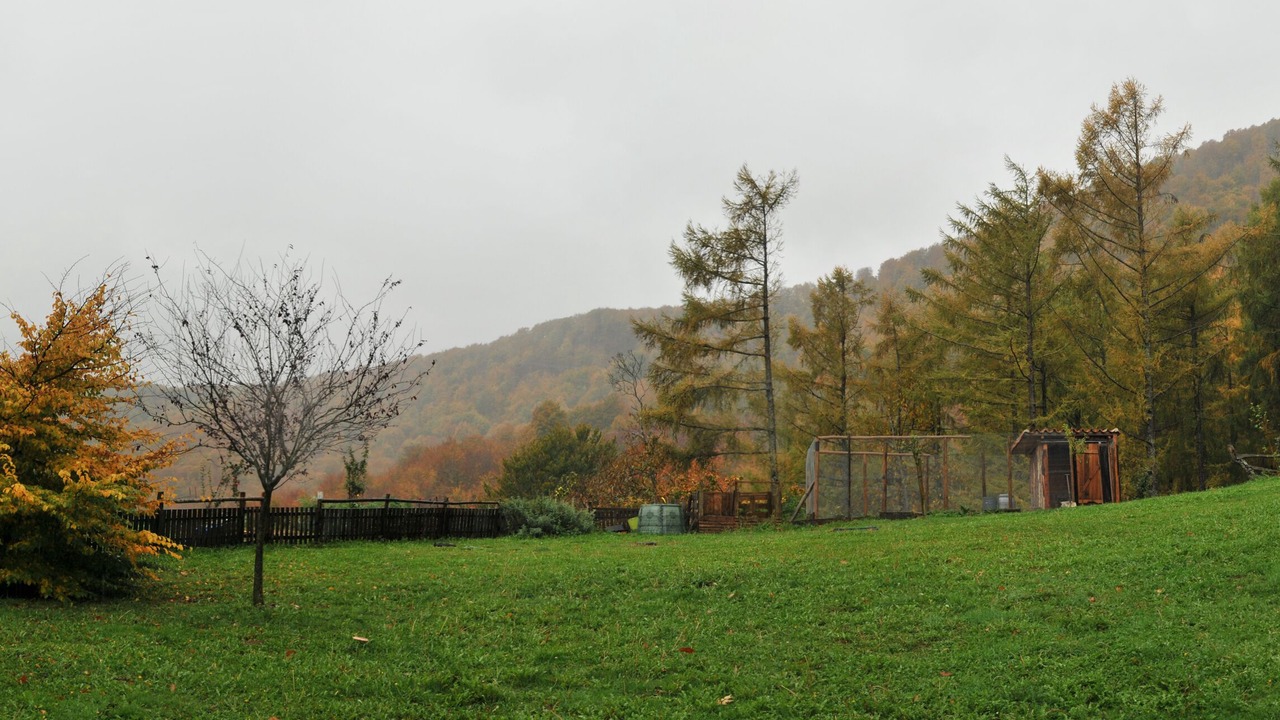 Photo of Outdoor in Basaburua