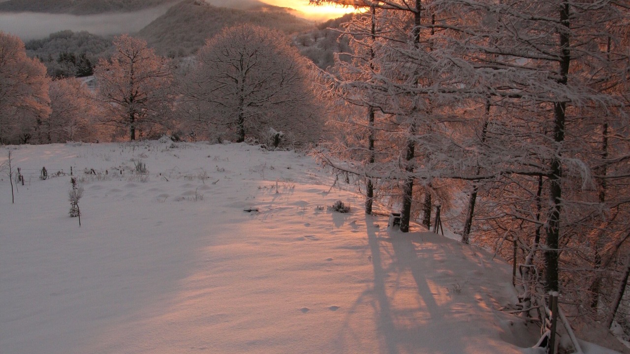 Photo of Outdoor in Basaburua