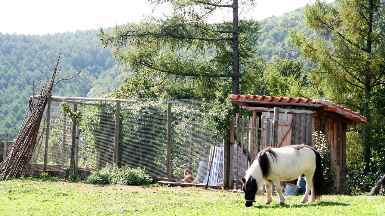 Photo of Outdoor in Basaburua