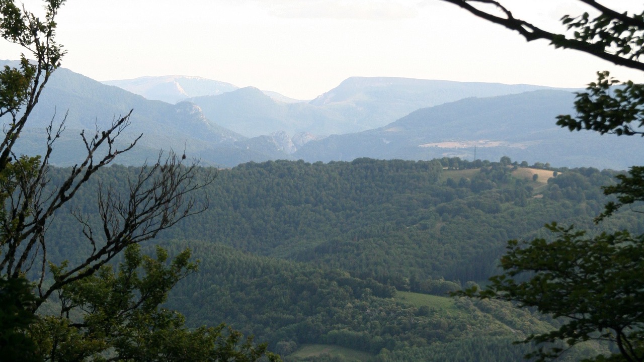 Photo of Others in Basaburua