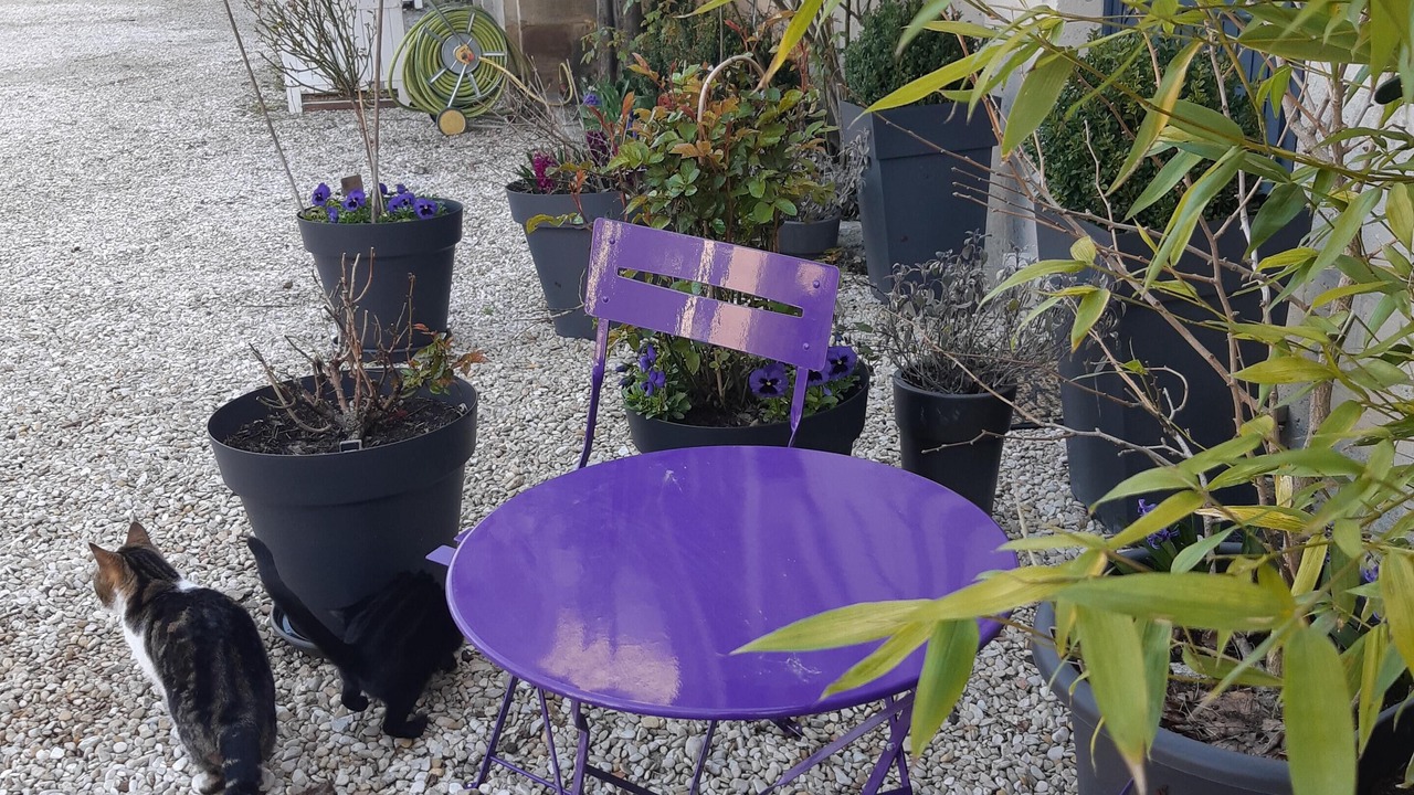 Photo of Outdoor in Saint-Dizier