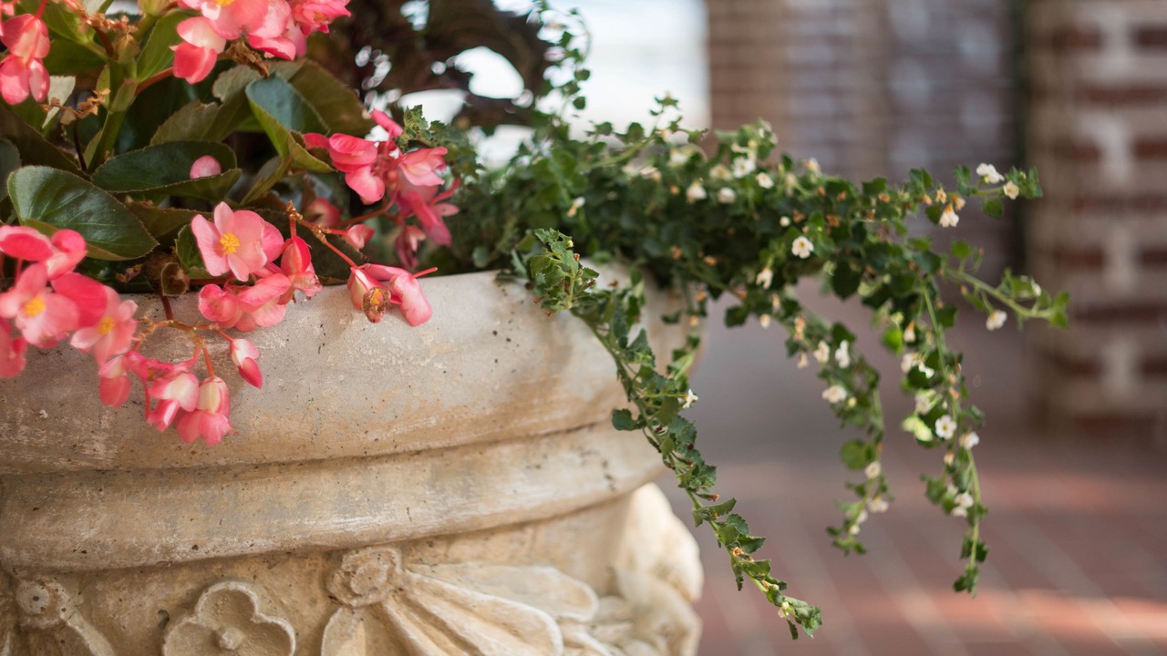 Photo of Outdoor in Downtown