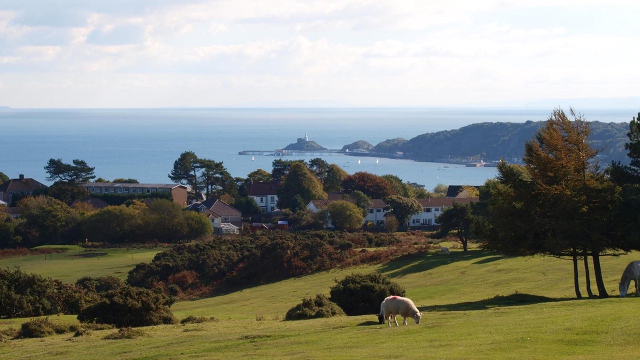 Photo of Others in Mumbles