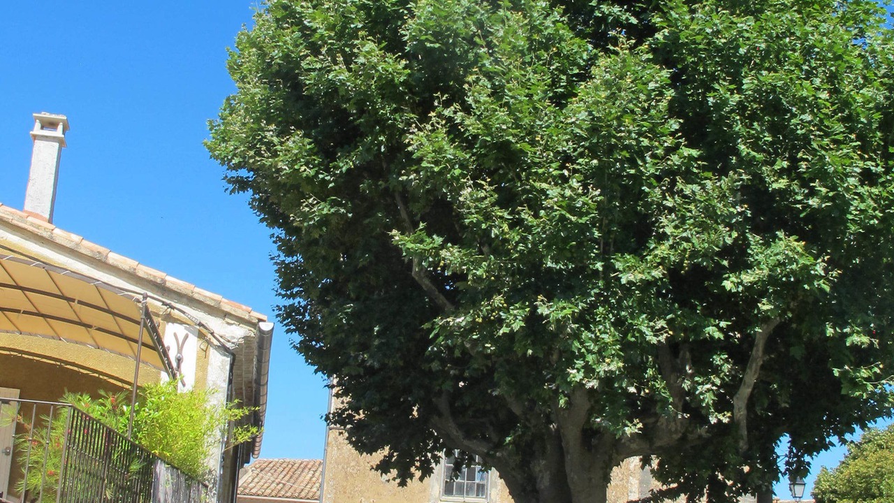 Photo of Outdoor in Sainte-Colombe