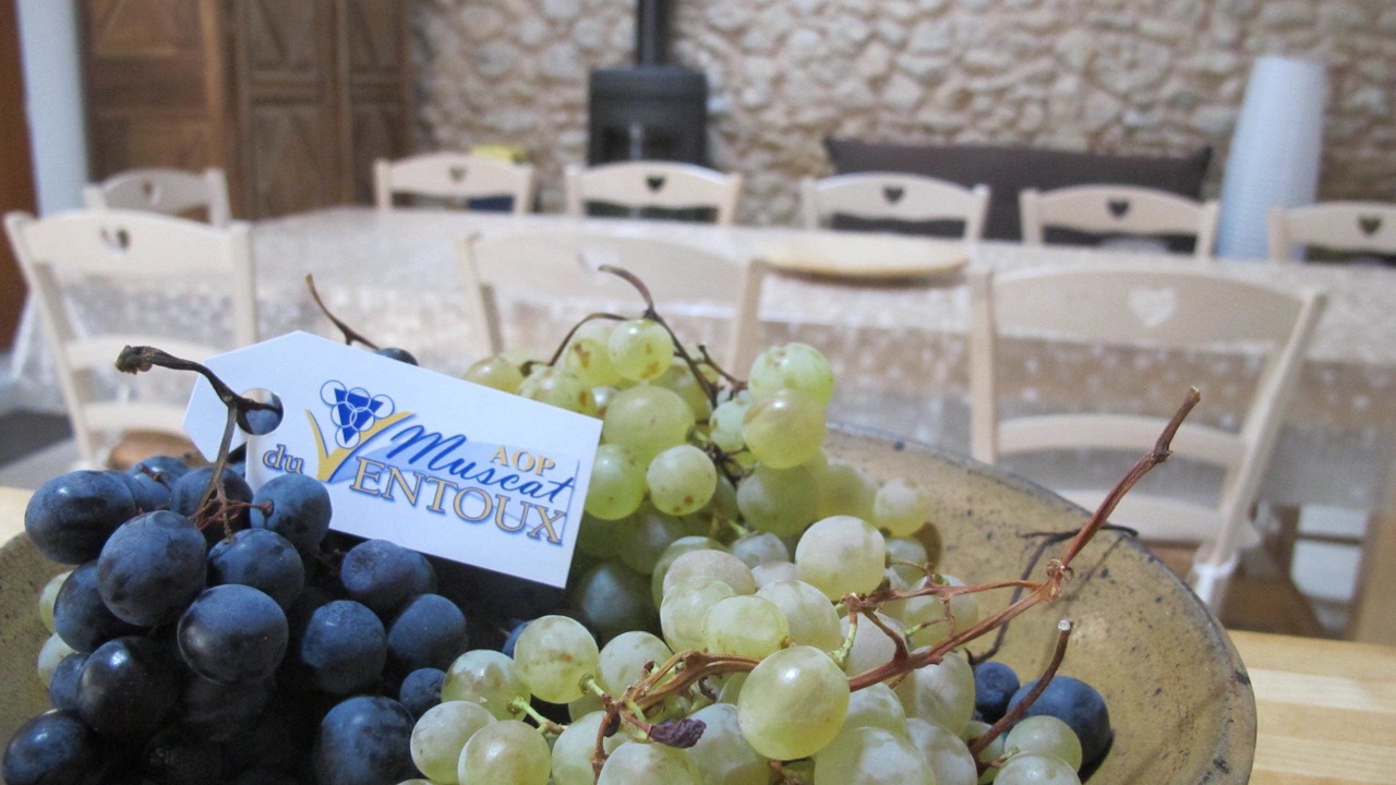 Photo of Others in Sainte-Colombe