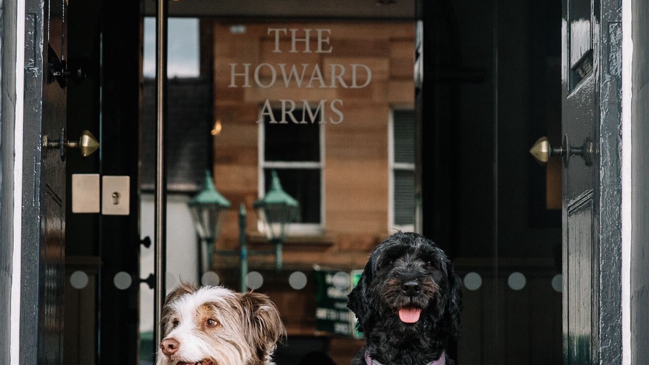 Photo of Outdoor in Wing