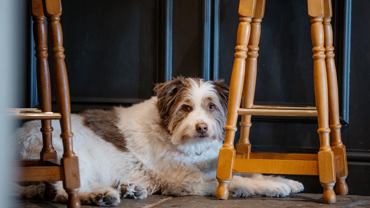 Photo of Others in Wing