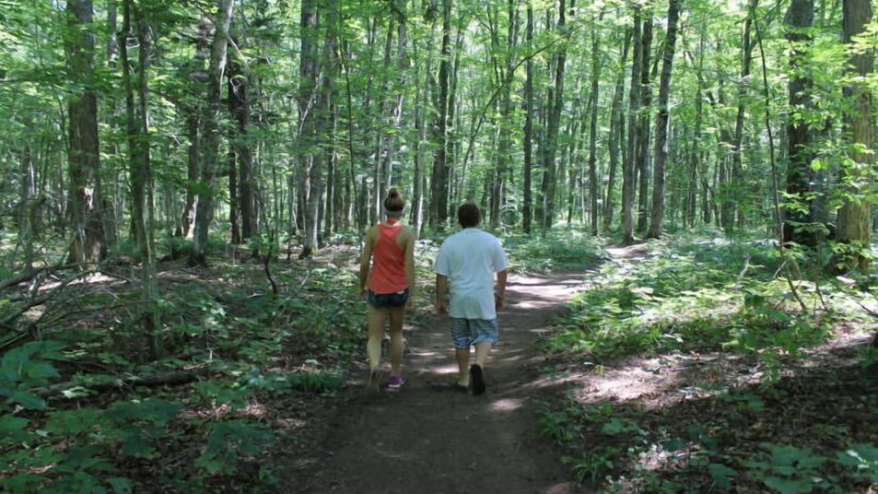 Photo of Outdoor in Cadillac