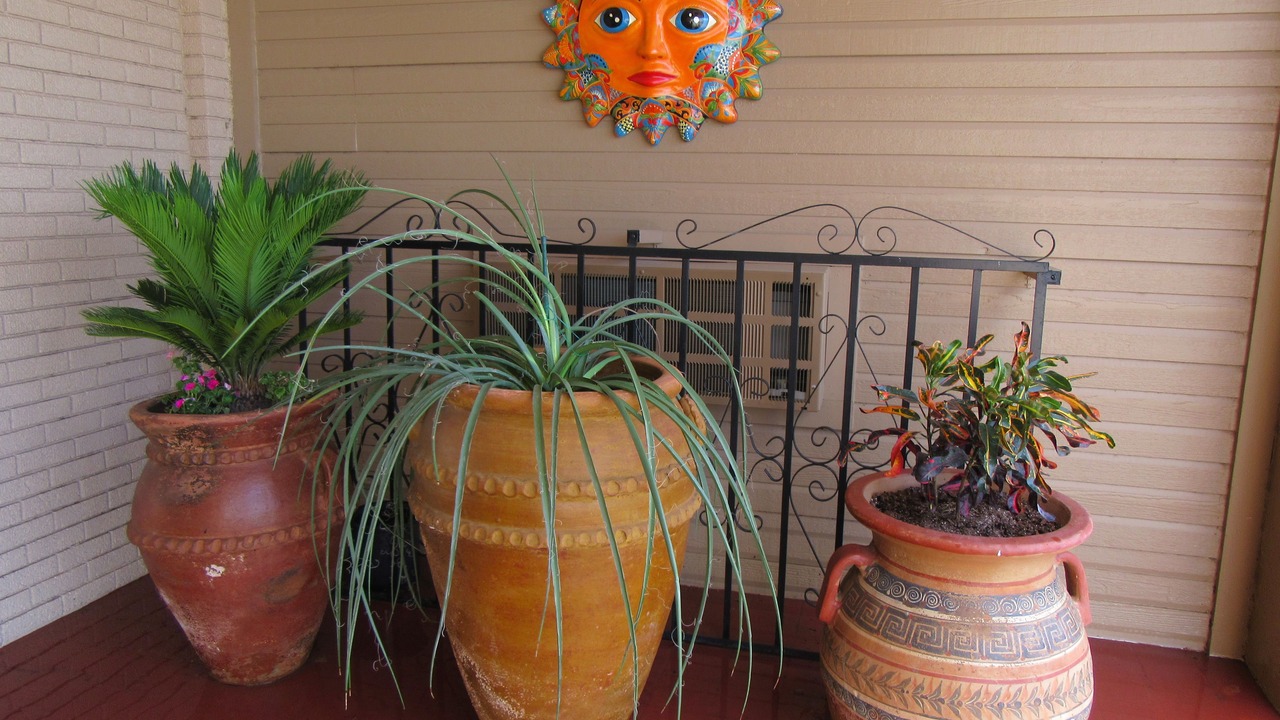 Photo of Outdoor in San Angelo