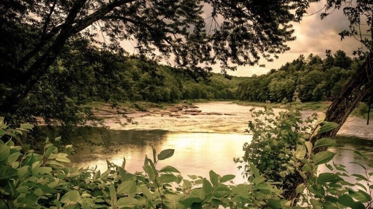 Photo of Others in Lakewood