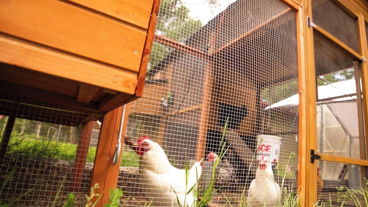 Photo of Outdoor in Dubois