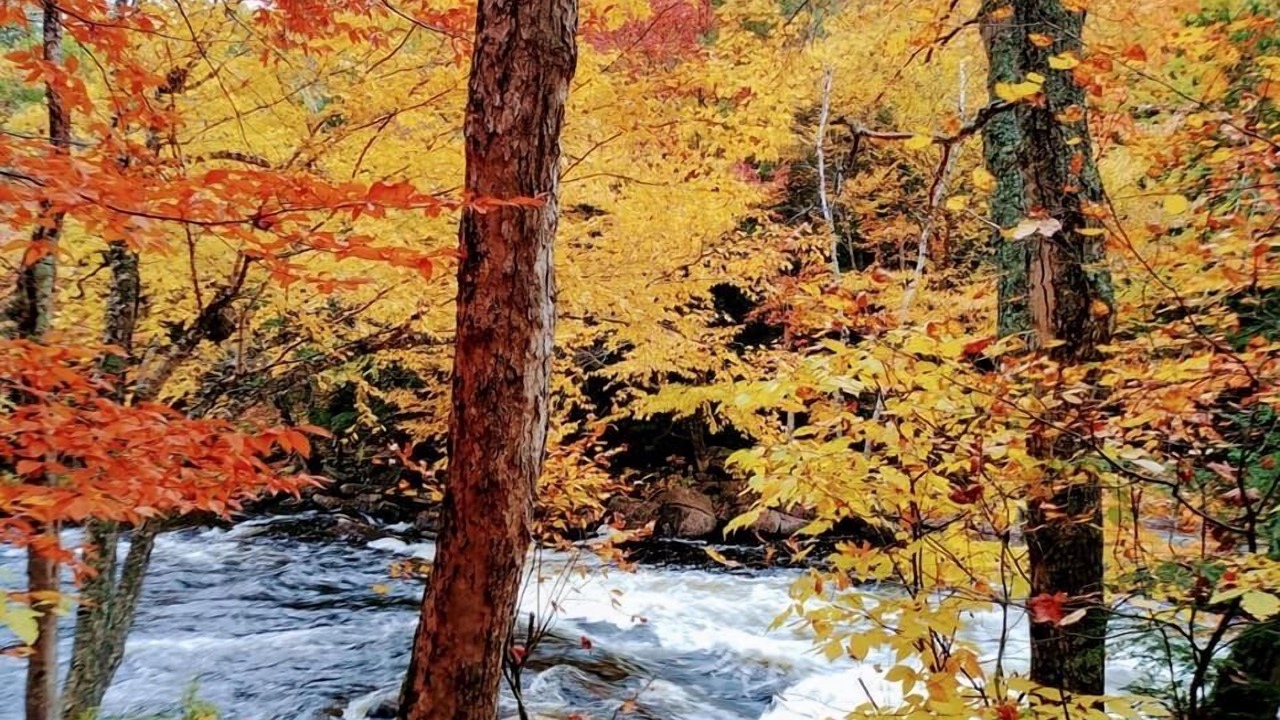 Photo of Outdoor in Dwight