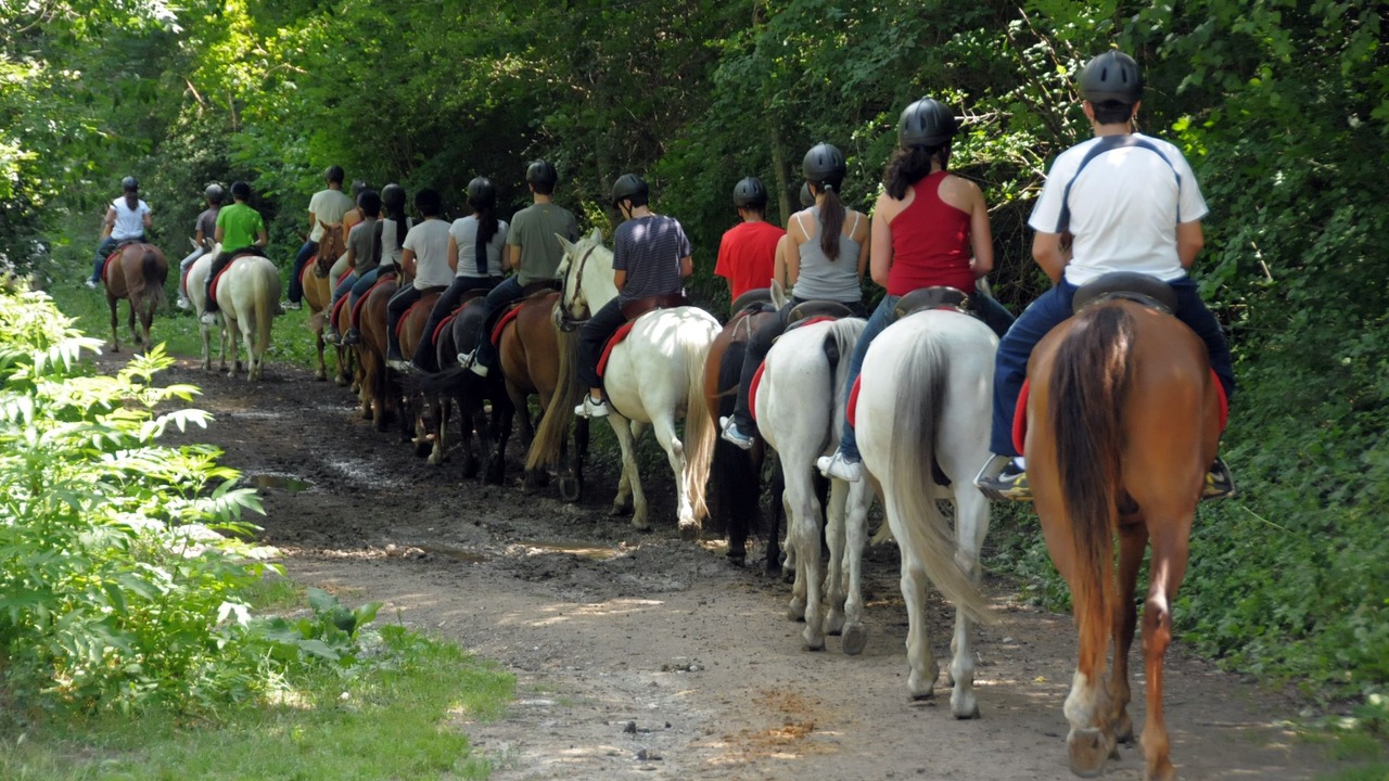 Photo of Others in Llavorsi