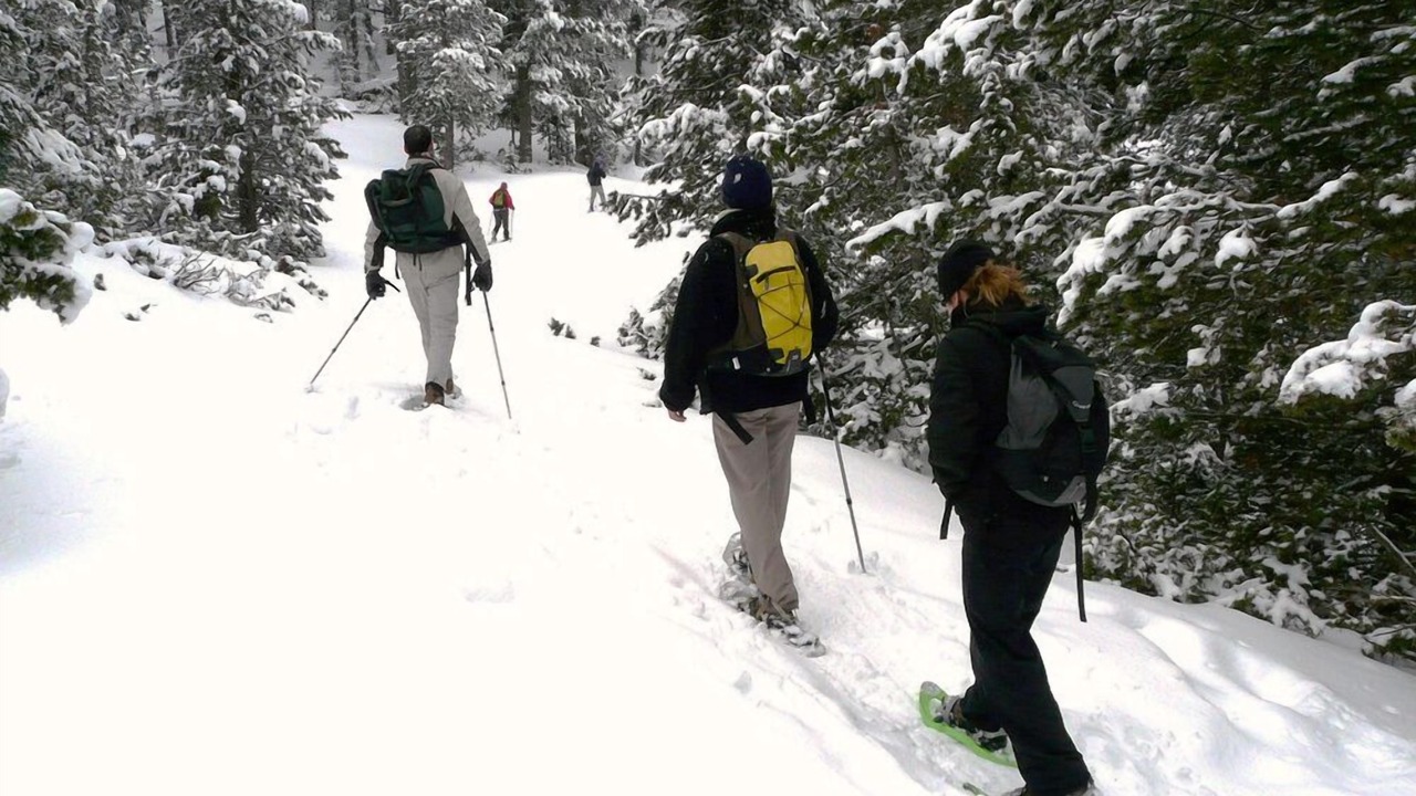 Photo of Outdoor in Erill la Vall