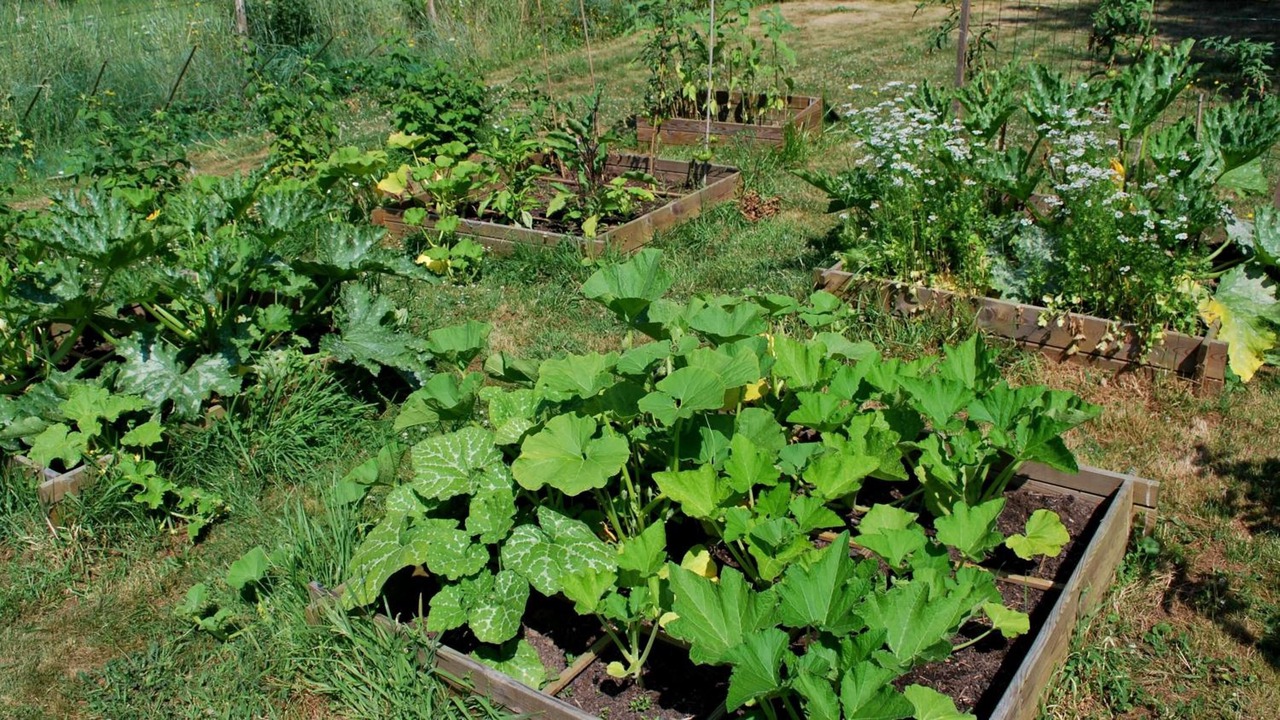 Photo of Outdoor in Murs-Erigne