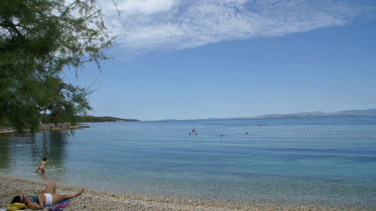 Photo of Others in Mirce