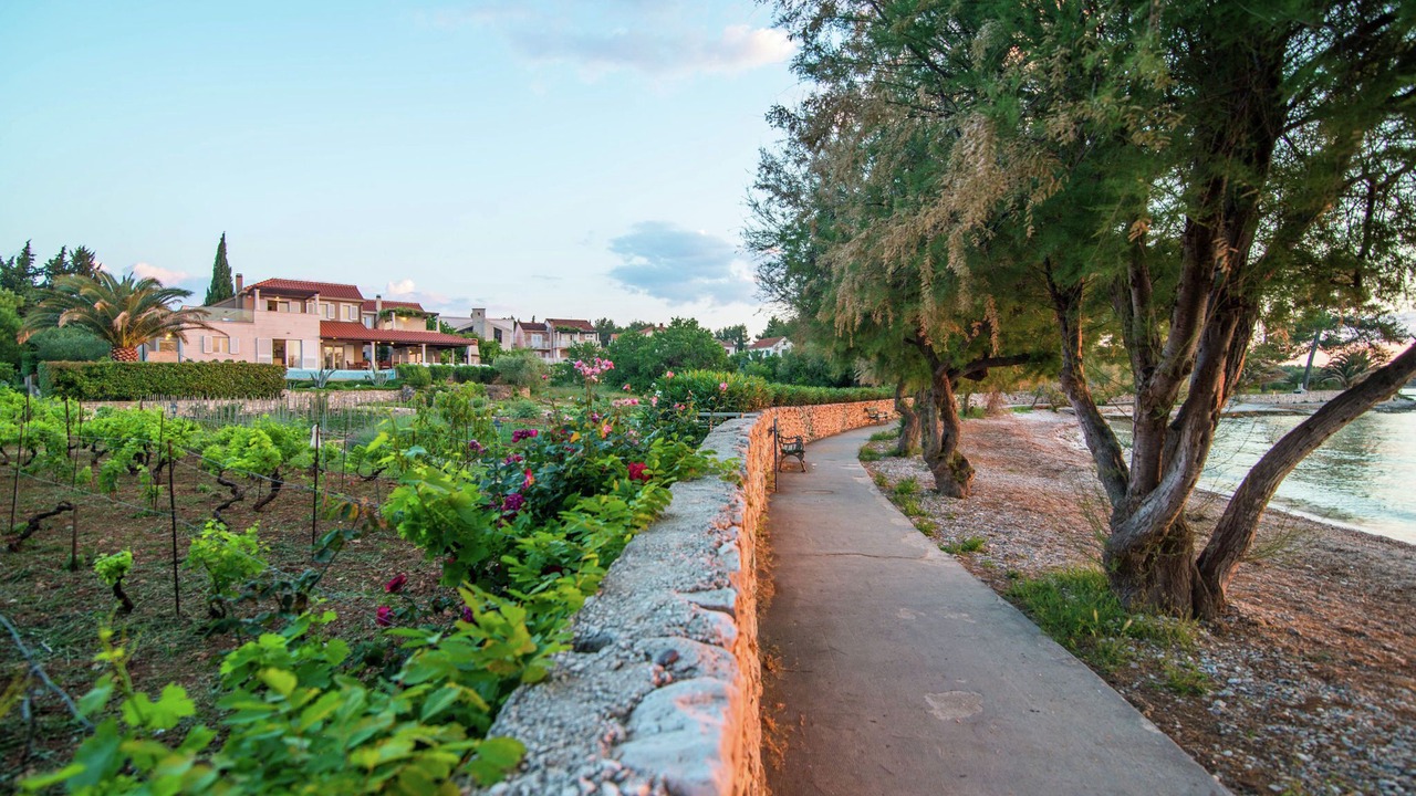 Photo of Outdoor in Mirce