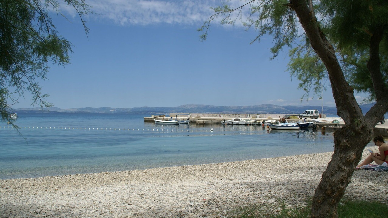 Photo of Others in Mirce