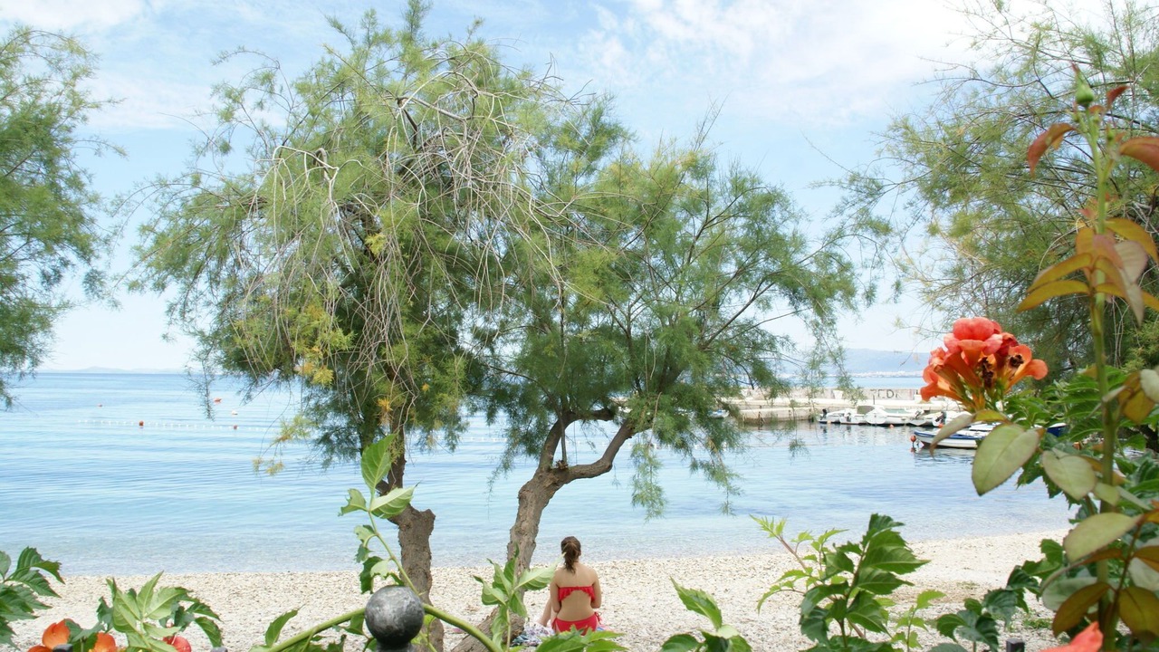 Photo of Outdoor in Mirce