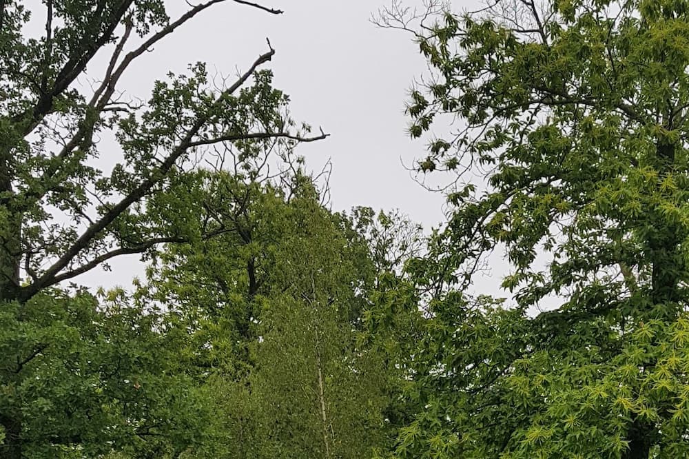 Photo of Outdoor in Le Mans