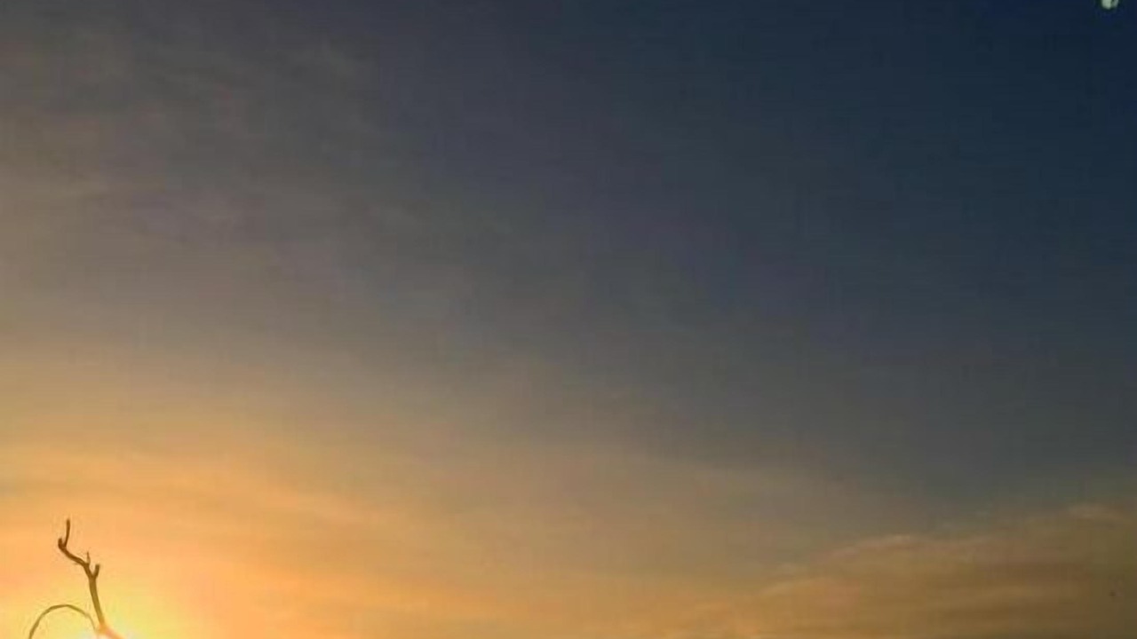 Photo of Others in Ile-d'Aix