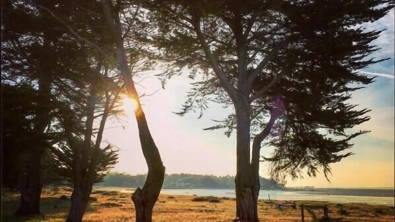 Photo of Outdoor in Ile-d'Aix