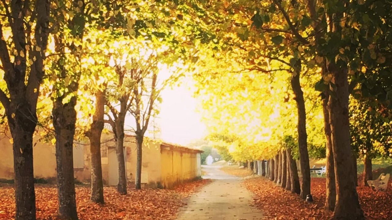 Photo of Outdoor in Ile-d'Aix