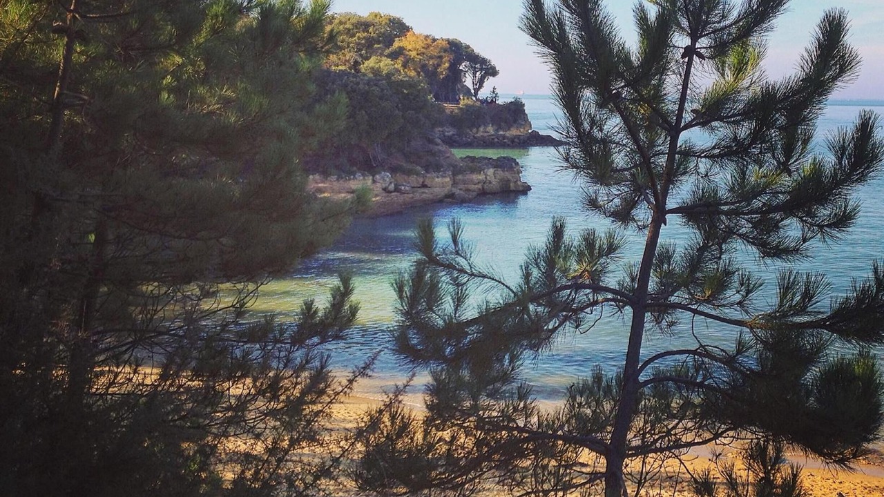 Photo of Others in Ile-d'Aix