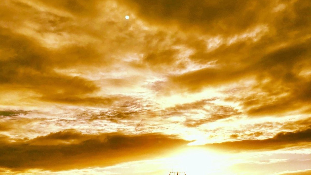 Photo of Others in Ile-d'Aix