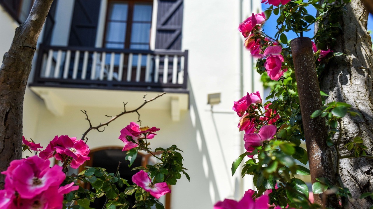 Photo of Outdoor in Hendaye