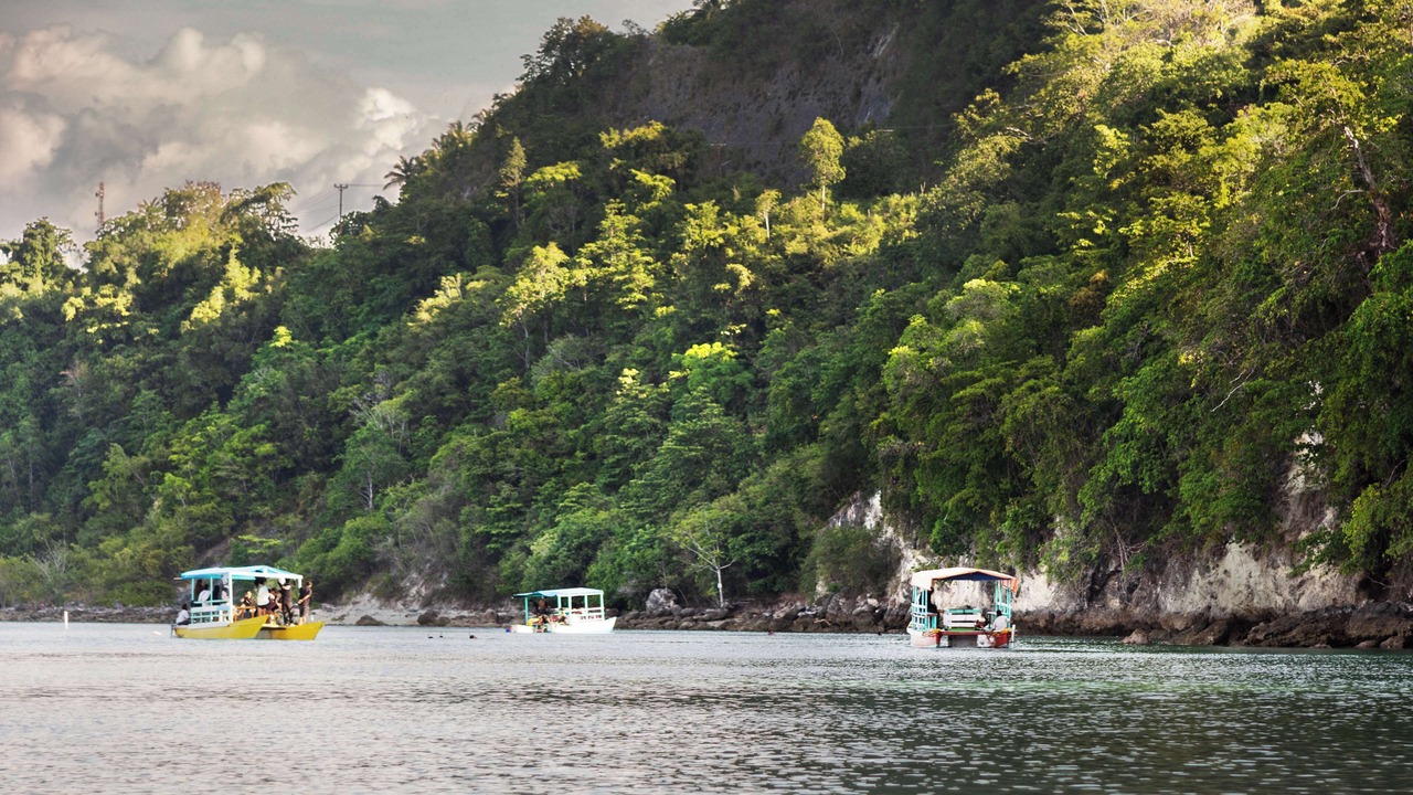 Photo of Others in Palu