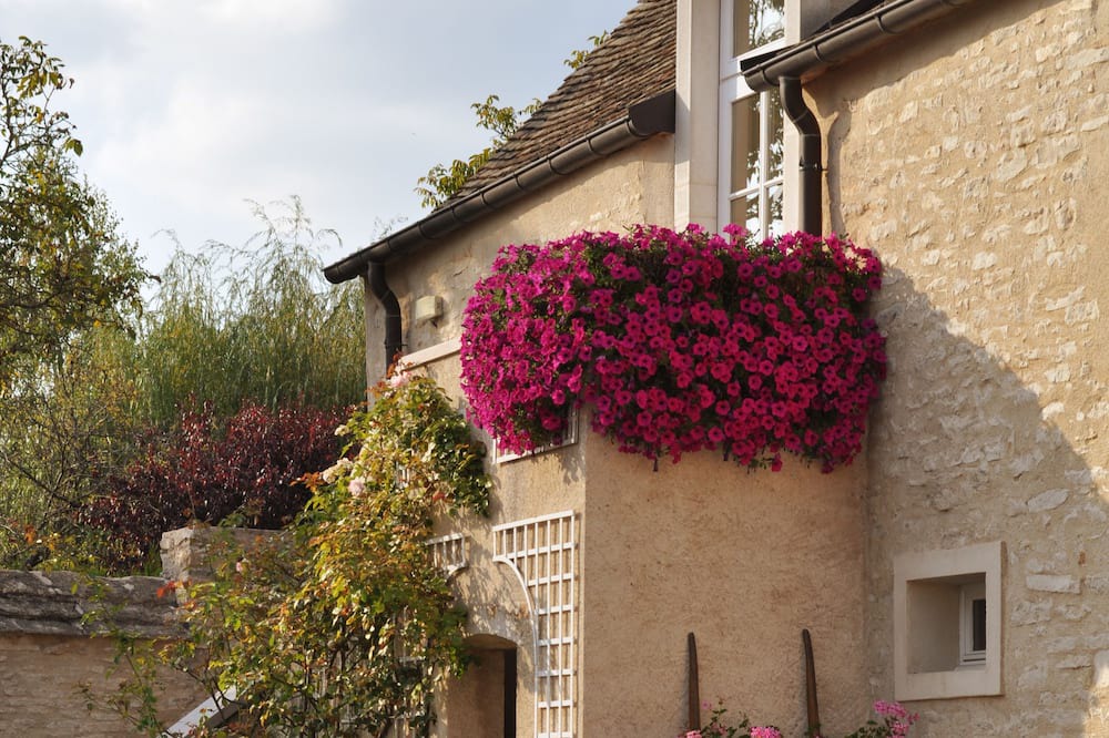 Photo of Outdoor in Montagny-les-Beaune