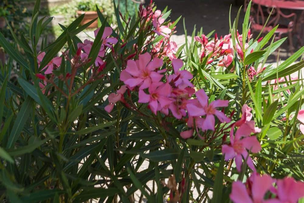Photo of Outdoor in Montagny-les-Beaune