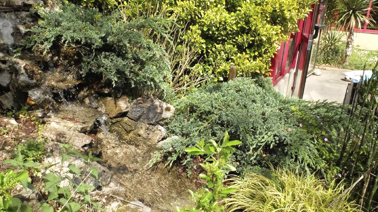 Photo of Outdoor in Saint-Genis-les-Ollieres