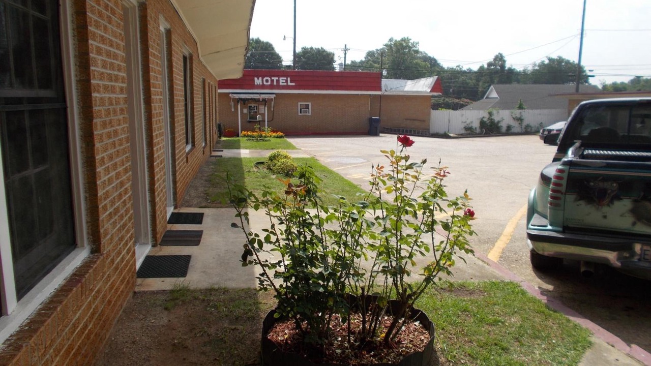 Photo of Outdoor in Homer