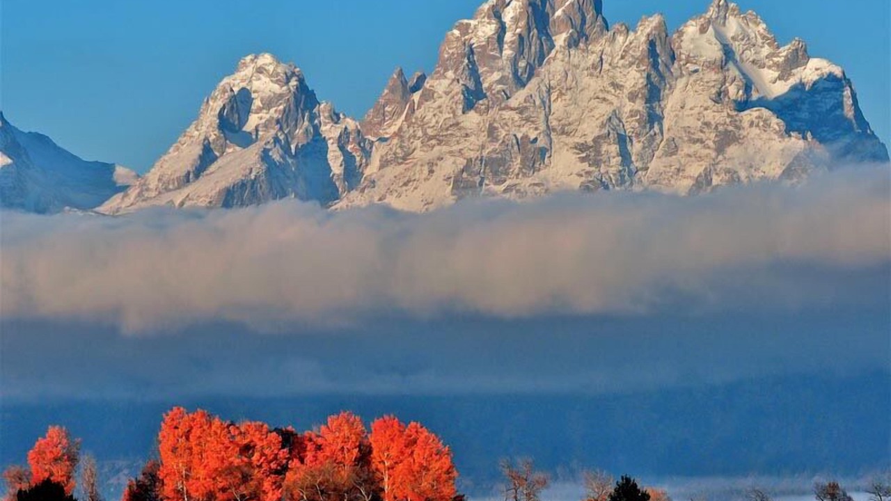 Photo of Others in Jackson